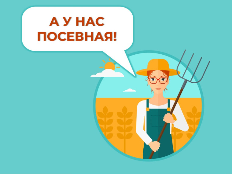 А У НАС ПОСЕВНАЯ!.
