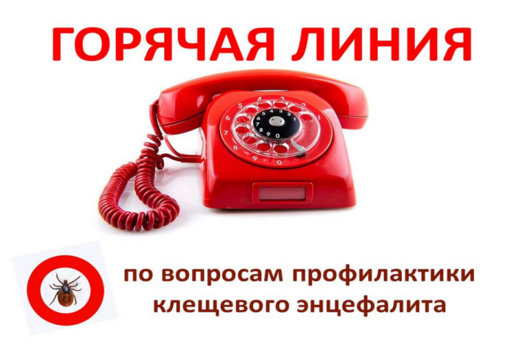 Анонс «горячей линии» по вопросам профилактики клещевого энцефалита..
